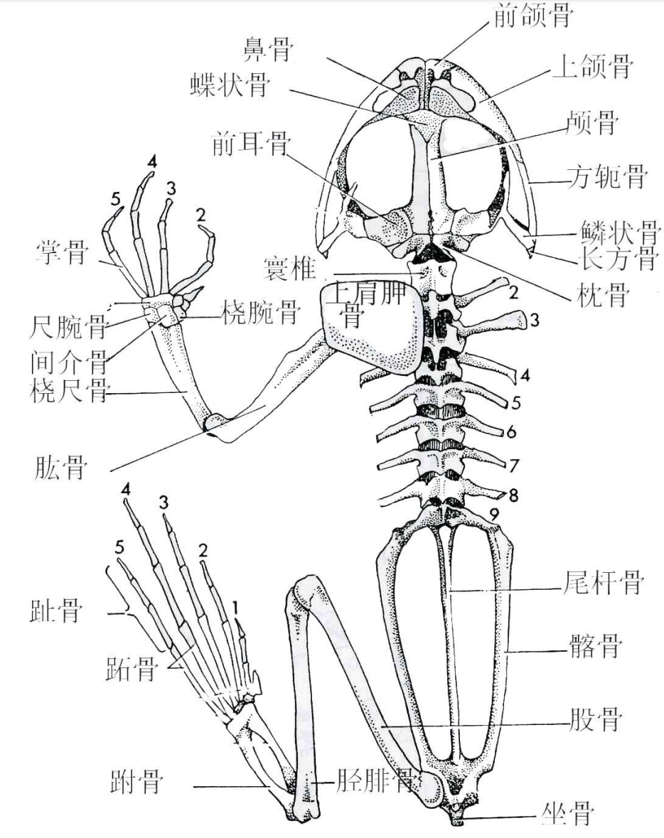 image-20250618233601434